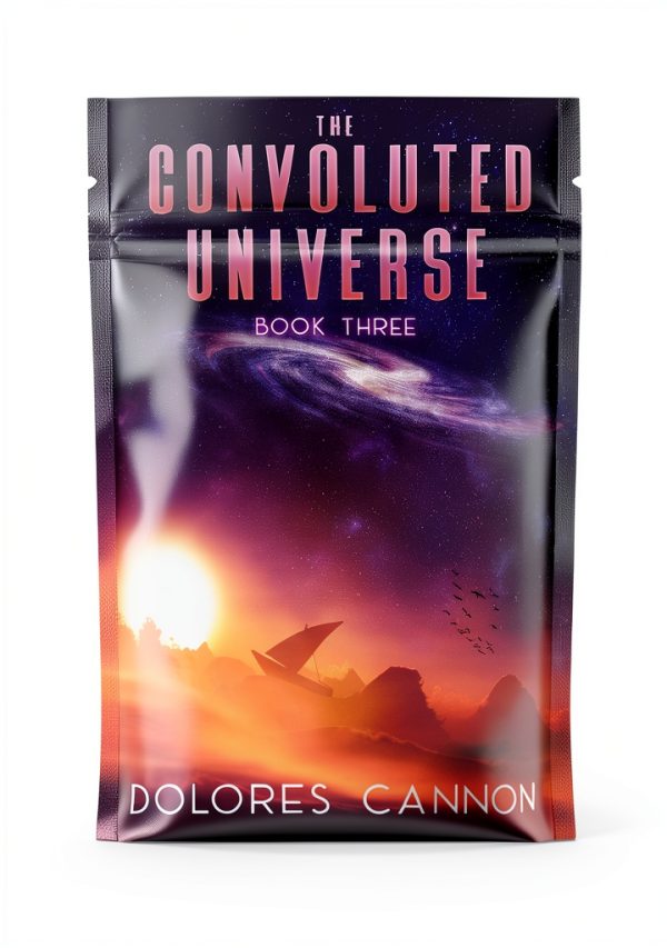 The Convoluted Universe: Book One by Laurel Clark-0